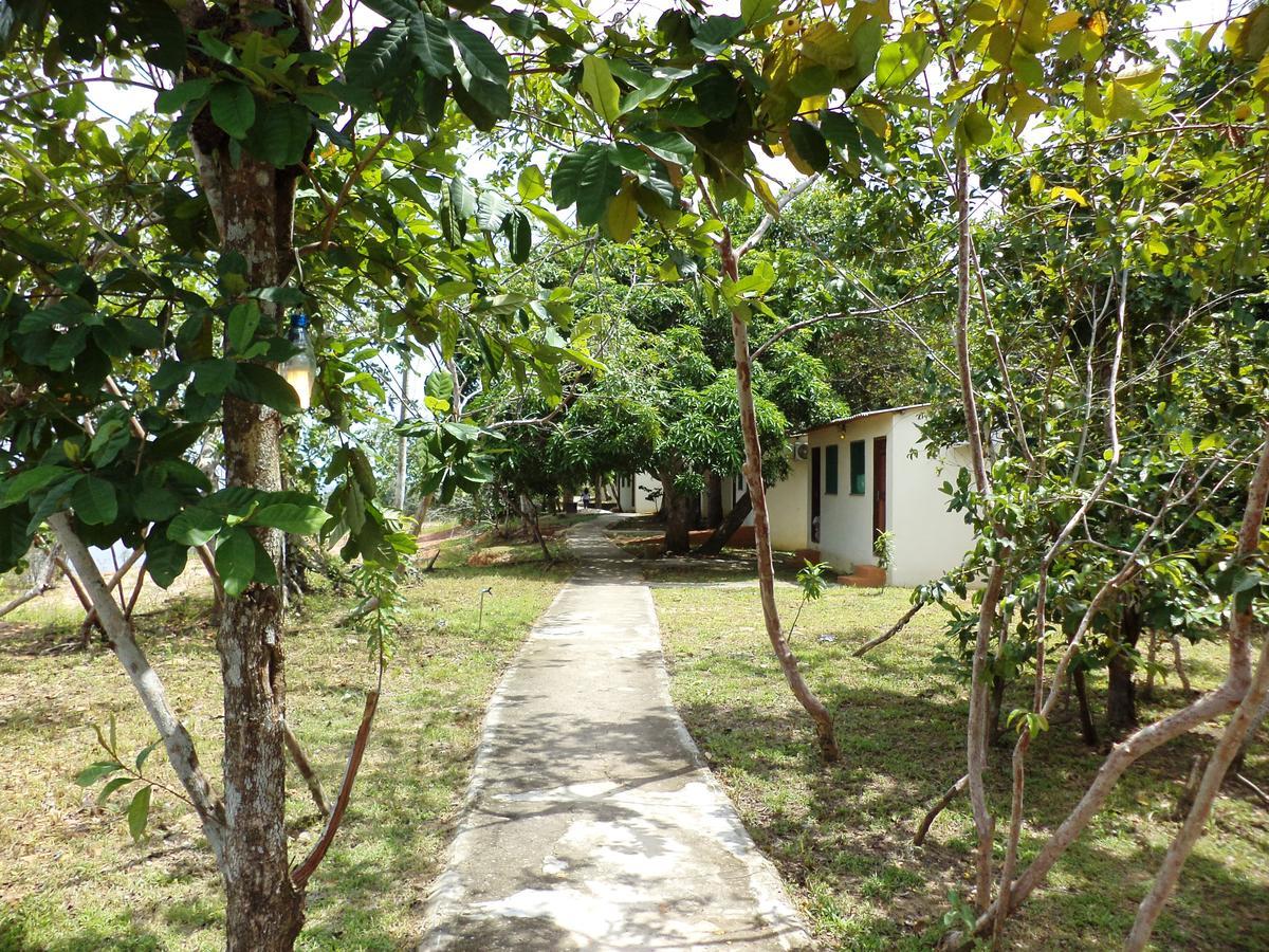 Anaconda Amazon Island Villa Manaus Eksteriør bilde